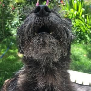 Meet your Posher, Jezebel